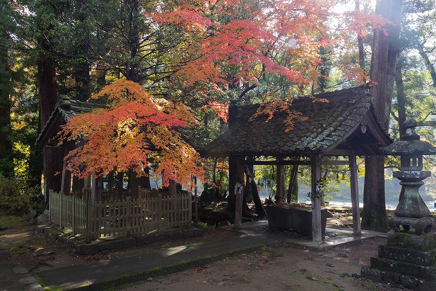 洲原神社の手水舎と紅葉