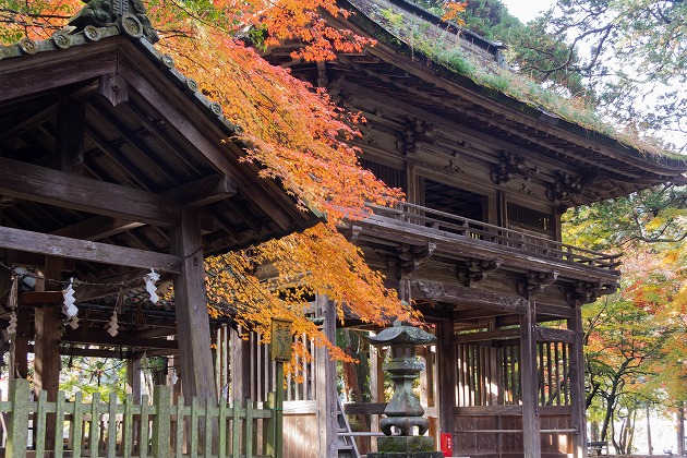 洲原神社の楼門と手水舎と紅葉