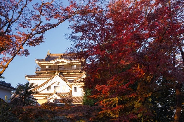 朝日に照らされる岡崎城と紅葉