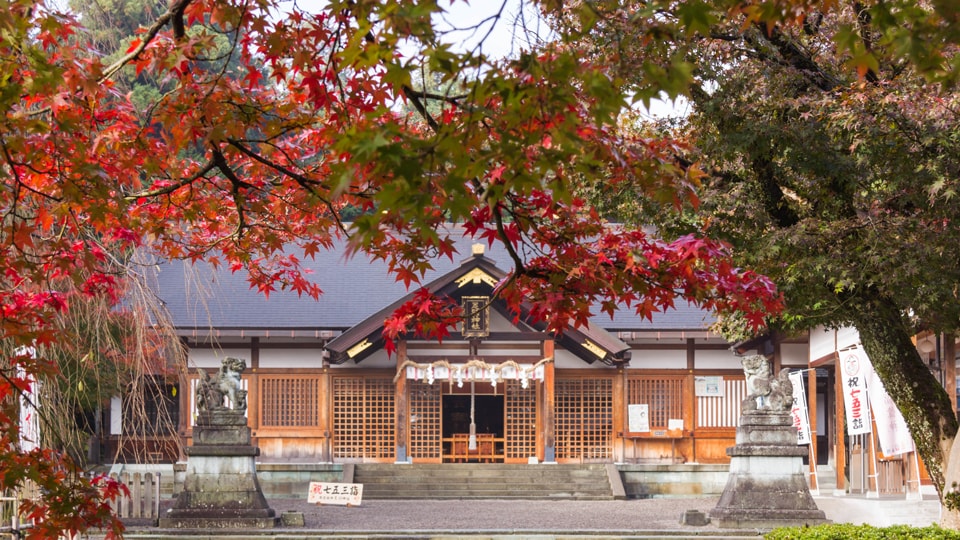 足羽神社の紅葉