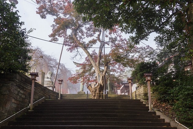 足羽神社の鳥居と紅葉