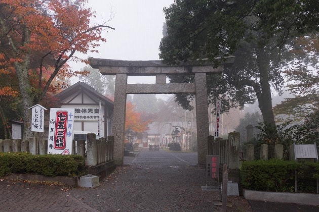 足羽神社の鳥居と紅葉