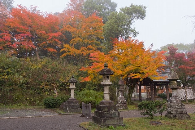 足羽神社の紅葉