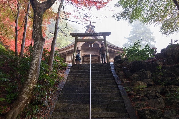 大矢田神社の階段と拝殿