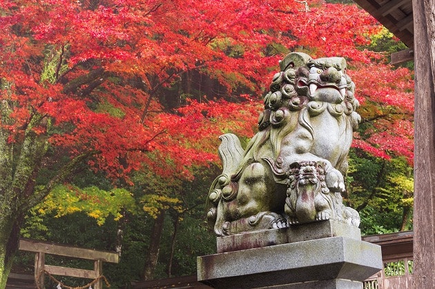 大矢田神社の本殿と紅葉