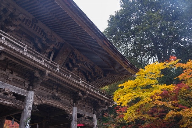 大矢田神社の楼門と紅葉