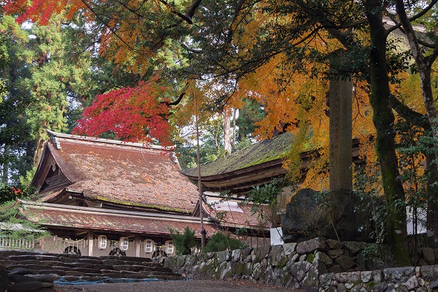 洲原神社の本殿と紅葉