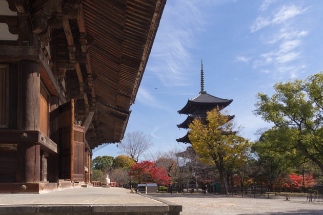 東寺の五重塔と紅葉