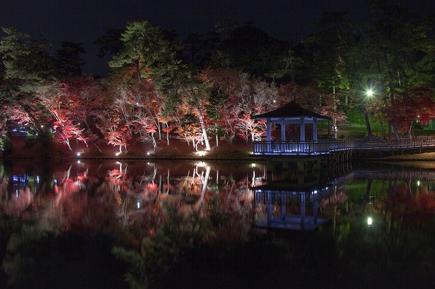 岡崎東公園の紅葉ライトアップ